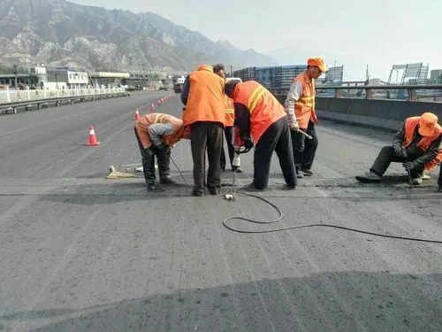 耒阳道路桥梁病害治理